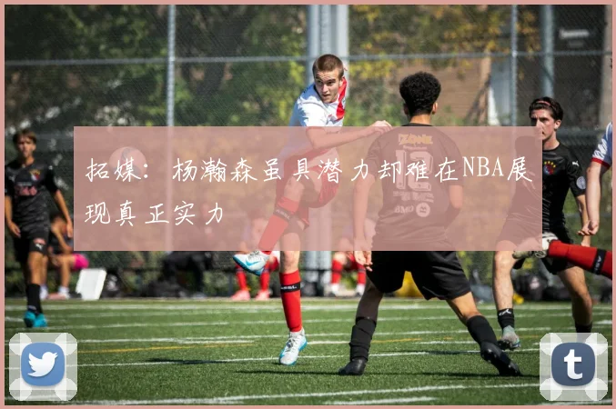拓媒：杨瀚森虽具潜力却难在NBA展现真正实力